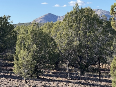 Northern AZ Large Land for Sale with Improvements - image 1