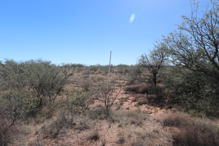 48+ acres of vacant land at the foothills Drogoon Mtm Ranch - image 5