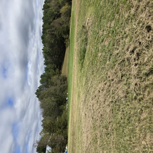 Poultry Farm , Caswell County, NC,  Allen Harim Poultry, 9 ac - image 17
