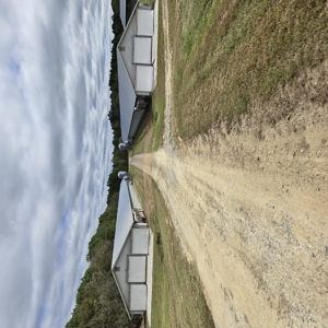 Poultry Farm , Caswell County, NC,  Allen Harim Poultry, 9 ac - image 18