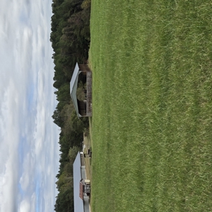 Poultry Farm , Caswell County, NC,  Allen Harim Poultry, 9 ac - image 3