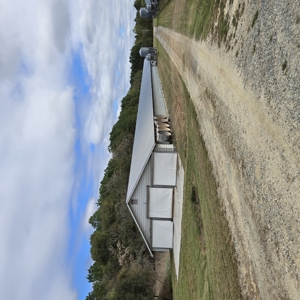 Poultry Farm , Caswell County, NC,  Allen Harim Poultry, 9 ac - image 4