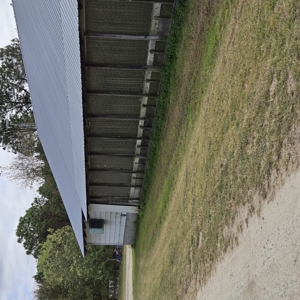 Poultry Farm , Caswell County, NC,  Allen Harim Poultry, 9 ac - image 6