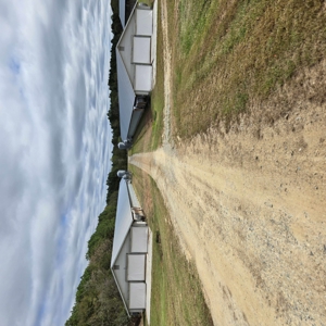 Poultry Farm , Caswell County, NC,  Allen Harim Poultry, 9 ac - image 1