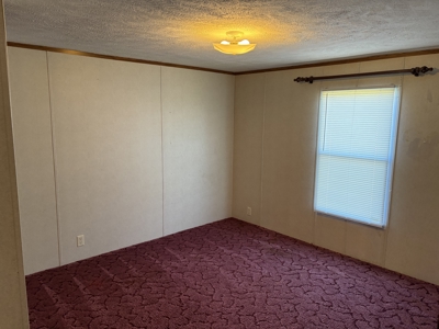 Room to Roam! Home + Shops on 1.55 Acres - image 12