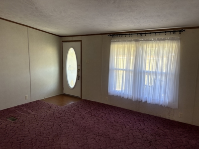 Room to Roam! Home + Shops on 1.55 Acres - image 8