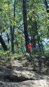 Charming Cabin w/ Garage on 3 Private Lots - Canada Creek Ranch - image 23