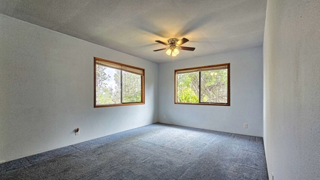 Island home with 2 bed, 1 bath, lush gardens, privacy—Hawaii - image 29