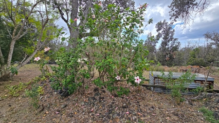 Island home with 2 bed, 1 bath, lush gardens, privacy—Hawaii - image 17