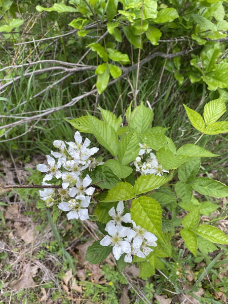 No Caption