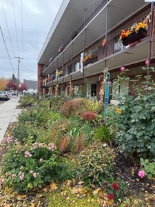 Charming and Well-laid-out Condo in Colfax WA - image 1