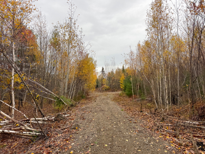 80± Acres Near the Coast - Pembroke, Maine - image 20