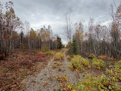 80± Acres Near the Coast - Pembroke, Maine - image 22