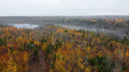 80± Acres Near the Coast - Pembroke, Maine - image 2