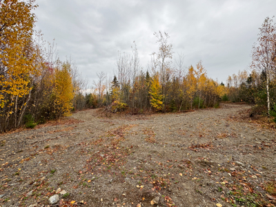 80± Acres Near the Coast - Pembroke, Maine - image 21