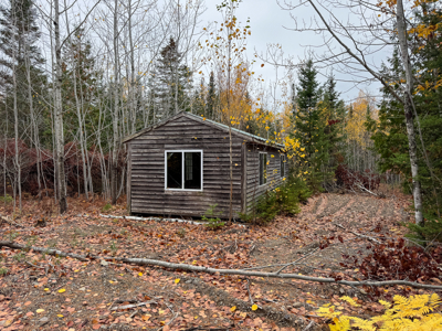 80± Acres Near the Coast - Pembroke, Maine - image 14