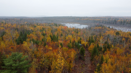 80± Acres Near the Coast - Pembroke, Maine - image 5
