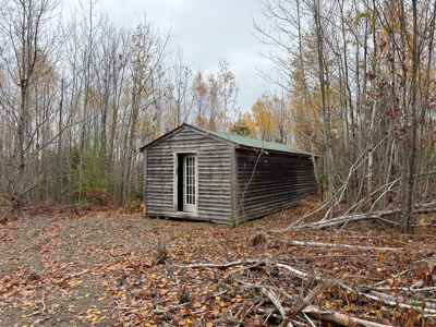 80± Acres Near the Coast - Pembroke, Maine - image 17