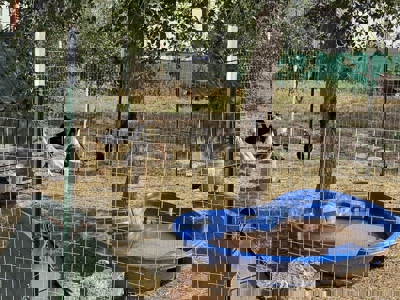 Move-In Ready 3-Bedroom Home in Estancia NM - image 29