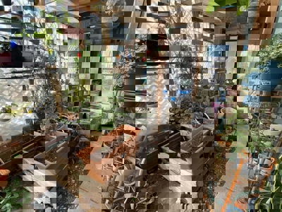 Move-In Ready 3-Bedroom Home in Estancia NM - image 25