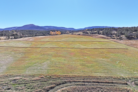 Log Style Home with Hay Ground, Pond, Equine Facilities For Sale - image 35