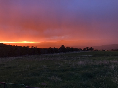 Log Style Home with Hay Ground, Pond, Equine Facilities For Sale - image 41