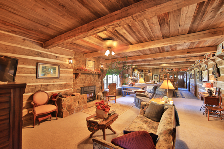 Log Style Home with Hay Ground, Pond, Equine Facilities For Sale - image 8