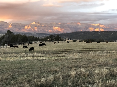 Log Style Home with Hay Ground, Pond, Equine Facilities For Sale - image 38