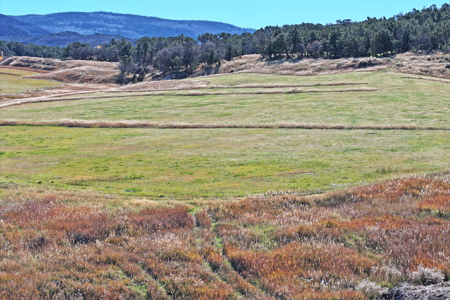 Log Style Home with Hay Ground, Pond, Equine Facilities For Sale - image 42