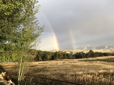 Log Style Home with Hay Ground, Pond, Equine Facilities For Sale - image 39