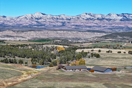 Log Style Home with Hay Ground, Pond, Equine Facilities For Sale - image 2