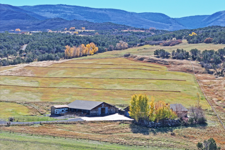 Log Style Home with Hay Ground, Pond, Equine Facilities For Sale - image 3