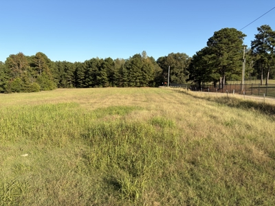 Prime 79 Acres in Fouke, AR – Build, Farm, or Hunt Near Texarkana - image 8