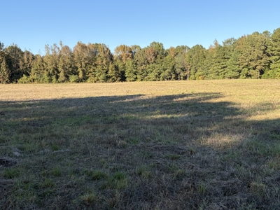 Prime 79 Acres in Fouke, AR – Build, Farm, or Hunt Near Texarkana - image 12