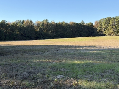 Prime 79 Acres in Fouke, AR – Build, Farm, or Hunt Near Texarkana - image 11