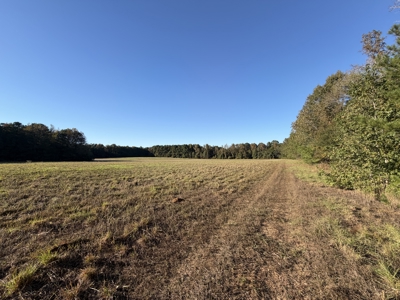 Prime 79 Acres in Fouke, AR – Build, Farm, or Hunt Near Texarkana - image 4