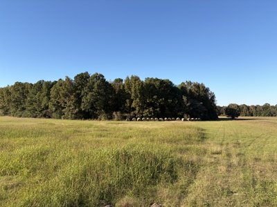 Prime 79 Acres in Fouke, AR – Build, Farm, or Hunt Near Texarkana - image 1