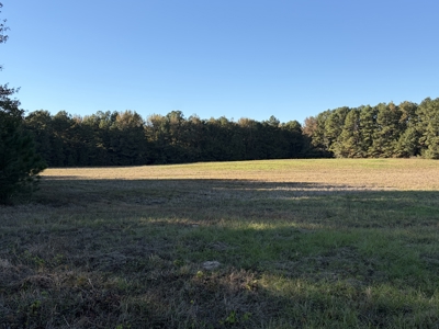 Prime 79 Acres in Fouke, AR – Build, Farm, or Hunt Near Texarkana - image 10