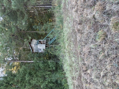 Prime 79 Acres in Fouke, AR – Build, Farm, or Hunt Near Texarkana - image 14