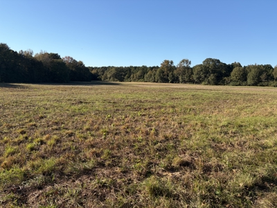 Prime 79 Acres in Fouke, AR – Build, Farm, or Hunt Near Texarkana - image 2