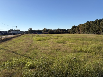 Prime 79 Acres in Fouke, AR – Build, Farm, or Hunt Near Texarkana - image 9