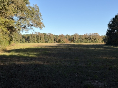 Prime 79 Acres in Fouke, AR – Build, Farm, or Hunt Near Texarkana - image 5