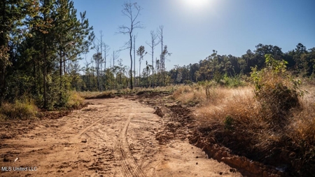 113 Acres of Hunting Land in Liberty, Mississippi - image 21