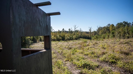 113 Acres of Hunting Land in Liberty, Mississippi - image 40