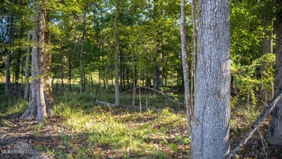 Listing 84