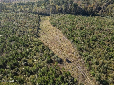 113 Acres of Hunting Land in Liberty, Mississippi - image 17