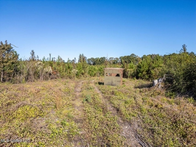 113 Acres of Hunting Land in Liberty, Mississippi - image 14