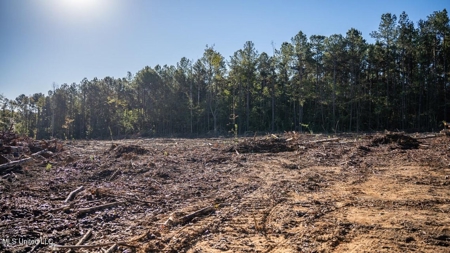 113 Acres of Hunting Land in Liberty, Mississippi - image 24
