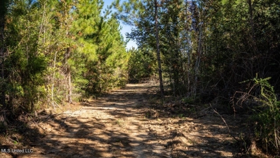 Listing 84