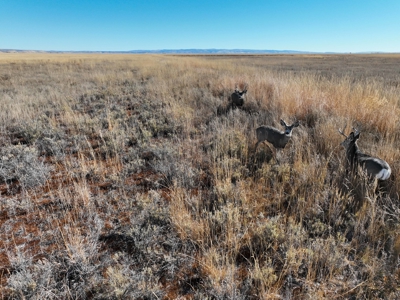 Eastern Oregon Airport Acres Outside of Burns - image 42